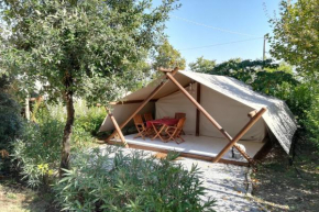 Agricampeggio Tognoni Glamping